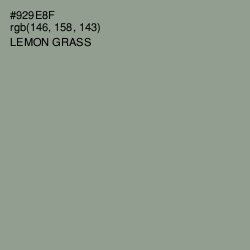 #929E8F - Lemon Grass Color Image